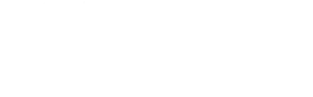 Diga Systems